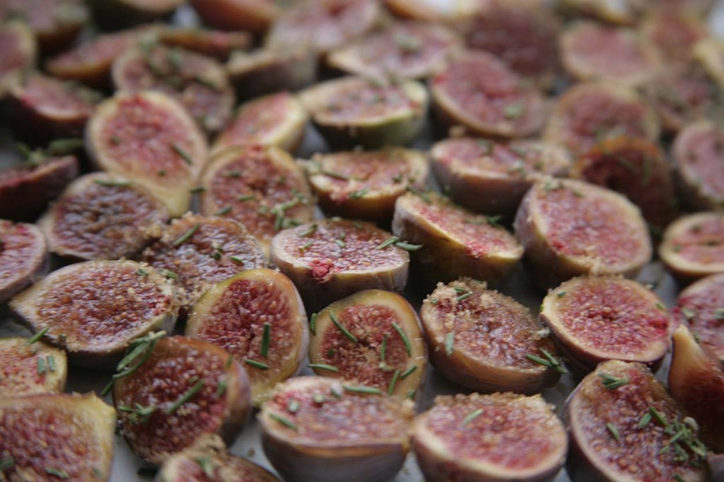 4figs_sprinkled
