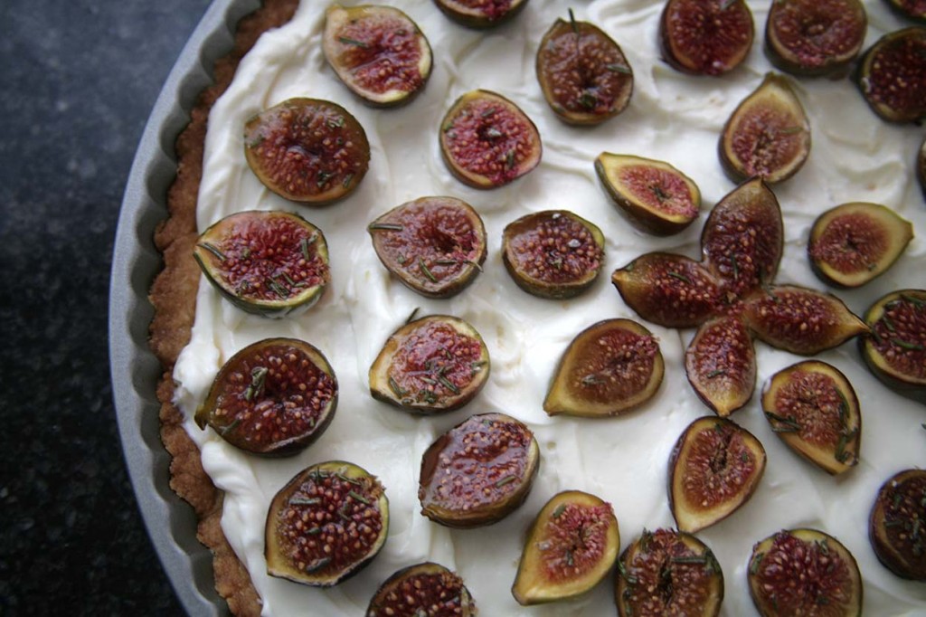8figtart