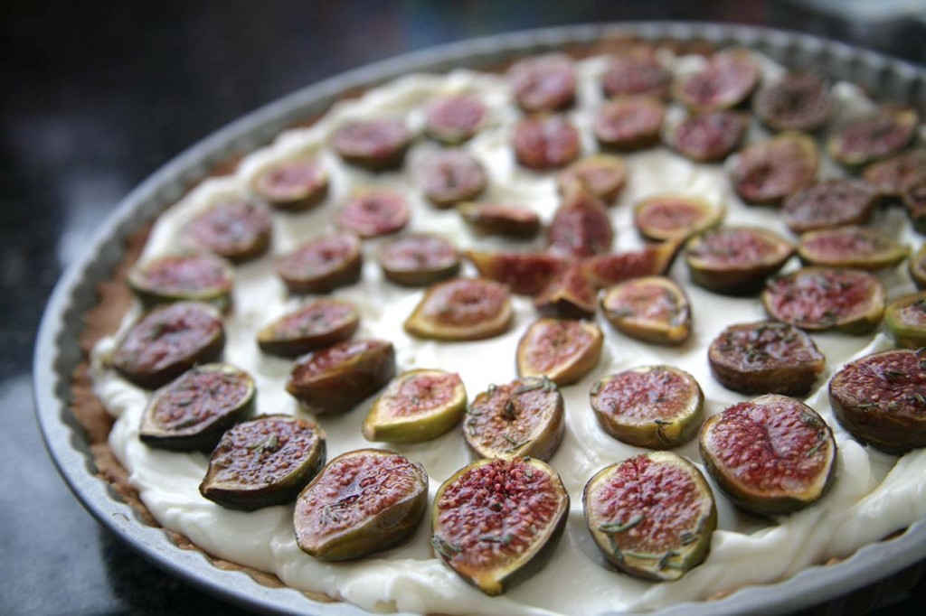 9figtart
